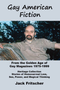 Gay American Fiction cover