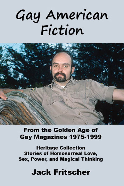 Gay American Fiction cover