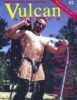 Vulcan No 2 magazine cover