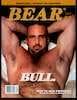 Bear 62 cover