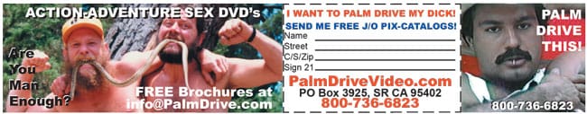 Palm Drive Video photo display ad Palm Drive Video photo display ad